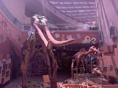 -陕西自然博物馆