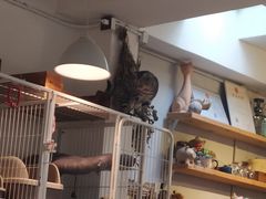 -小时光咖啡馆(北锣鼓巷店)