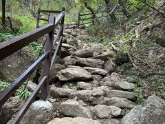 -王顺山国家森林公园