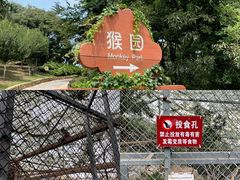-海上云台山景区