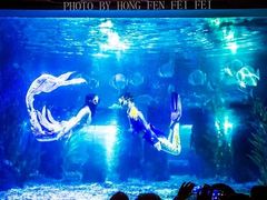 -台州海洋世界