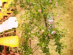 -回龙窝历史文化街区