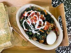 -油梨树AVOCADO TREE(顺义新国展店)