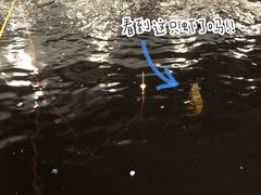 -白沙浮娱乐广场