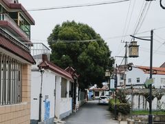 -金山嘴渔村