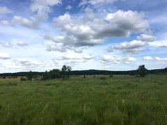 -塞罕坝国家级自然保护区