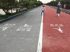 -日照海滨国家森林公园