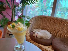 -藏猫猫咖啡主题馆(中央大道店)