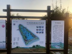 -芒洲湿地公园