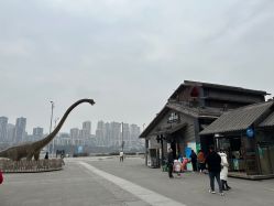 -恐龙探索乐园(磁器口店)