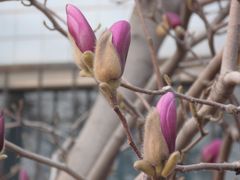 -华北电力大学(一校区)