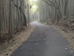 -苏州环秀晓筑养生度假村