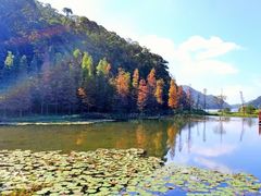 -广州市石门国家森林公园
