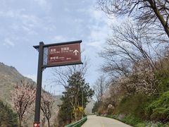 -秦岭终南山世界地质公园翠华山景区