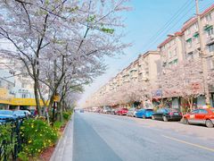 -永乐路-路侧停车场
