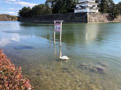 -名古屋城