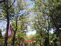 -北京邮电大学