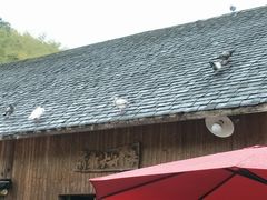 -宁波浙东大竹海景区