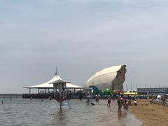 -碧海金沙