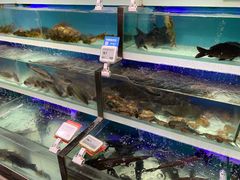 -盒马鲜生(红莲店)