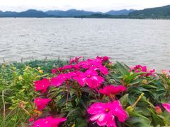 -湖畔居茶楼(湖滨店)
