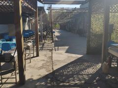 -亲兄弟真人CS团建拓展基地