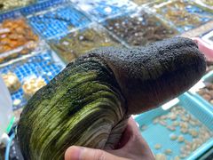 -霞涌市场海鲜摆卖区