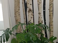 -极简口腔(总院)