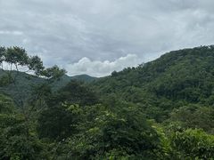 -野象谷景区