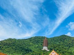 -深圳仙湖植物园