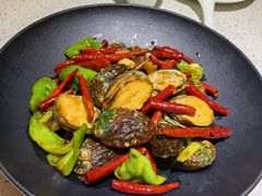 -船歌·鱼水饺青岛菜(金狮广场店)