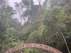 -西双版纳原始森林公园