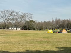 -上海滨江森林公园