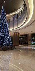 点击看大图 -南京华泰万丽酒店·宴会厅