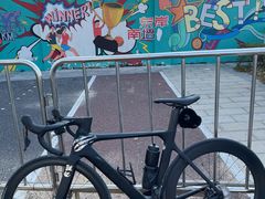 -GIANT捷安特自行车专卖店(金桥台儿庄路店)