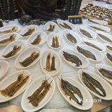 一场海鲜控的饕餮狂欢