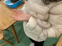 -藦茜花园宠物主题亲子互动体验馆(国顺东路店)
