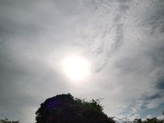 -阳光海岸