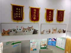 -爱侣宠医·鹦鹉专科·小型哺乳类·异宠专科(灵石路店)