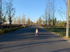 -动邦皮划艇·桨板·独木舟·团建户外运动俱乐部