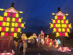 -广西壮族自治区药用植物园
