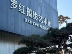 -罗红摄影艺术馆