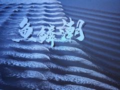 -观潮胜地公园