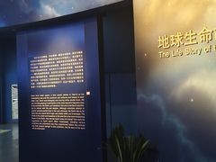 -浙江自然博物院(杭州馆)