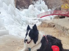 -黑龙潭风景区