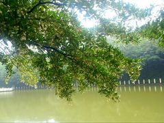 -西樵山风景名胜区-天湖公园