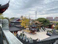 -上海东林寺(金山区)