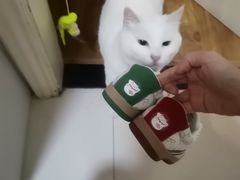 -Feiyue飞跃(长乐路店)