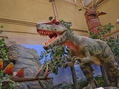 -国家自然博物馆