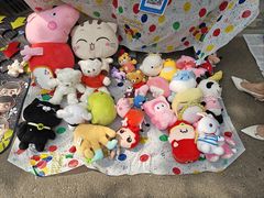 -北京市海淀外国语实验学校